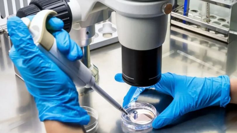 First case of hantavirus diagnosed in Israel