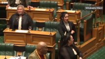 New Zealand: Three Maori MPs suspended over 'intimidating' haka