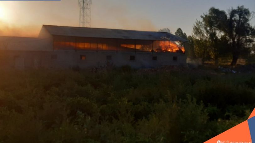 Հրդեհ Գրիբոյեդով, անկել է 4 կենդանի