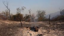 Thousands evacuated from homes in southwest France amid wildfire