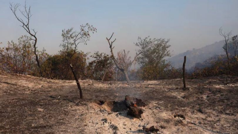Thousands evacuated from homes in southwest France amid wildfire