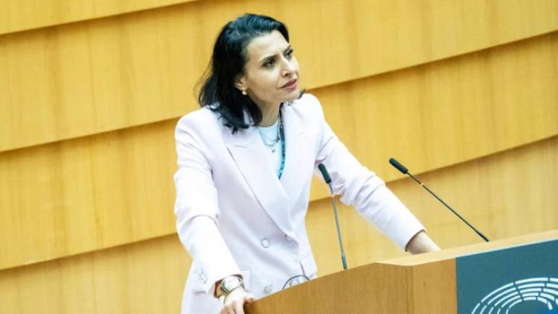 Swedish MEP files police complaint over racist hate speech