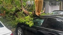 Strong winds cause damage across Armenia