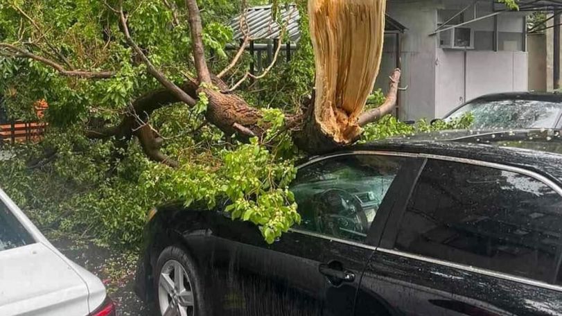 Strong winds cause damage across Armenia