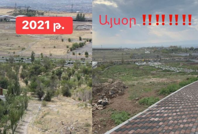 Նոր Նորք վարչական շրջանում ծառերի սպանդ է իրականացվել. Ահազանգ