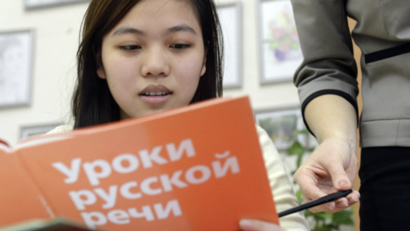 Рособрнадзор: 87% детей мигрантов не могут быть зачислены в школы России