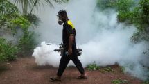 Sri Lanka battles surge in dengue fever