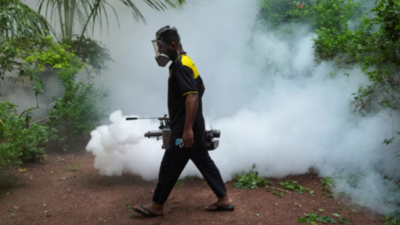 Sri Lanka battles surge in dengue fever