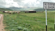 Seven cattle killed by landmine explosion in Armenia's Gegharkunik