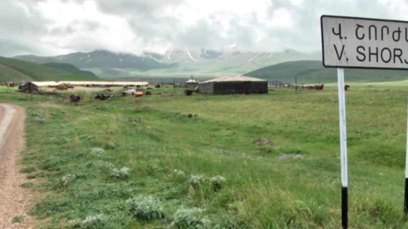 Seven cattle killed by landmine explosion in Armenia's Gegharkunik