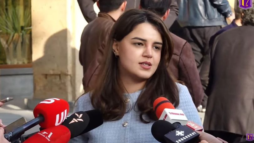 Lawyer credits Armenian activist's release to public pressure