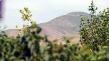 Կրակոցները ու կյանքը Սոթքում․ 24TV