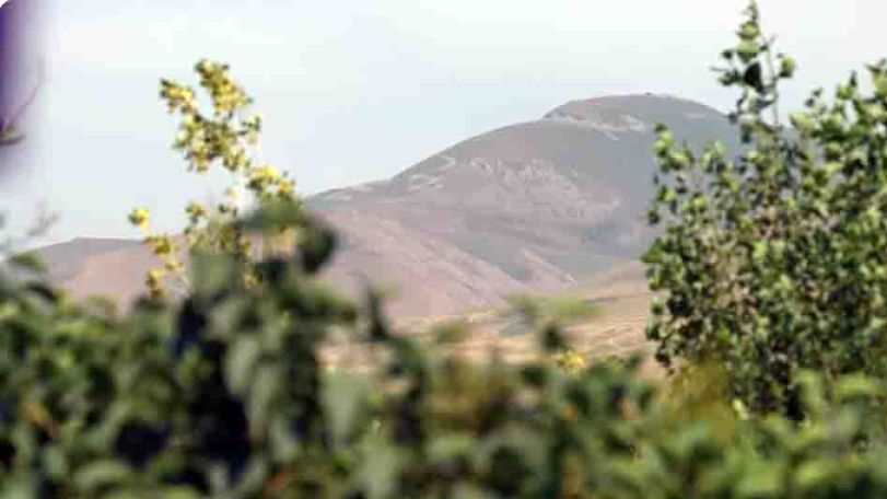 Կրակոցները ու կյանքը Սոթքում․ 24TV