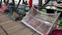 Bangladesh sees worst single-day surge in dengue cases and deaths