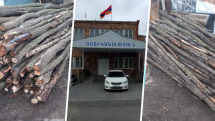 Ծովակ գյուղի բանկիչը հատել է 104 բարդի և փայտանյութը տեղափոխել բակ