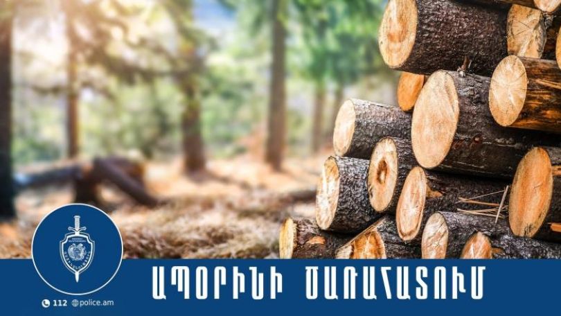 Գյուլագարակի անտառապետը ձերբակալվել