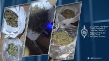 Բերքաբերի բնակիչը թմրամիջոցը պահել է տանիքում