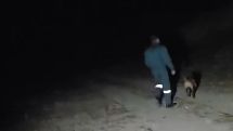 Intensive search underway for missing 3-year-old boy in Armenia