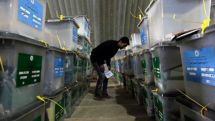 ‘US came to Afghanistan with TV & cash - they won’t let us go’