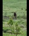 Defense Ministry says no Azeri soldier spotted in Armenian border village