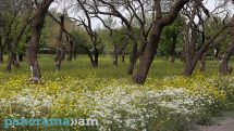 Ջերմաստիճանը կնվազի, սպասվում է անձրև, կարկուտ