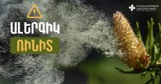 Սոճիների ծաղկման շրջանում հանգստյան գոտիներ այցելելը կարող է ալերգիկ ռինիտի սրացման պատճառ դառնալ