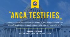 ANCA congressional testimony calls for $200 million aid for Artsakh refugees