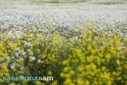 Temperatures to rise in Armenia later this week