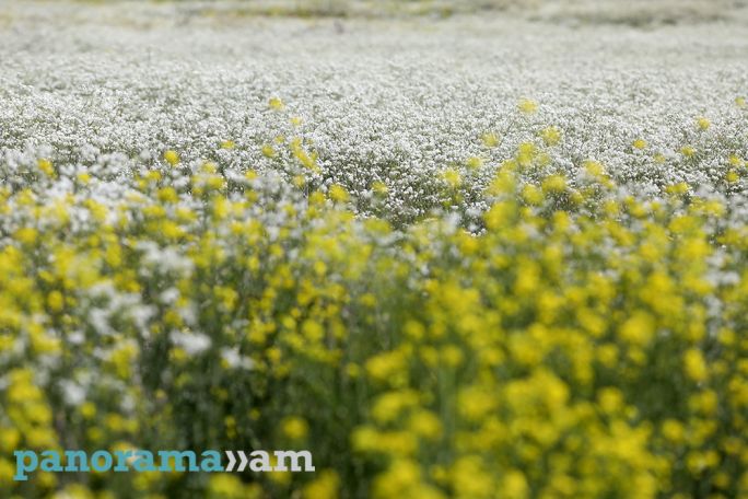 Temperatures to rise in Armenia later this week