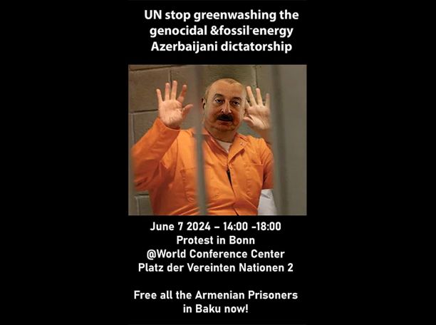 Protesters at COP29 accuse Azeri government of greenwashing genocide as its host