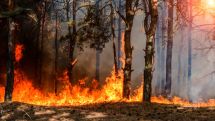 Лесной пожар в Калифорнии: более 1200 человек эвакуированы