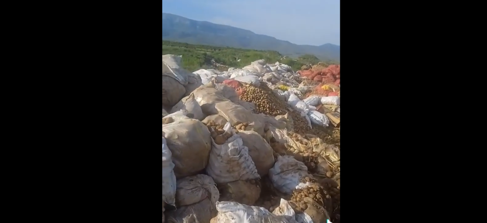 Ֆերմերները տասնյակ տոննաներով կարտոֆիլ են թափում