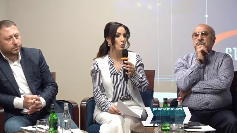 Հայաստանի կենսական նշանակության տնտեսական միությունները կարող են կորսվել արհեստական խոստման դիմաց. Շաքե Իսայան