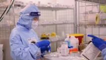 Israel reports more fatalities from West Nile fever