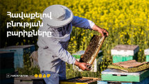 Ամերիաբանկն ու ՔՈԱՖ-ը համատեղում են ջանքերը՝ ի նպաստ Լոռու մարզում մեղվաբուծության զարգացման