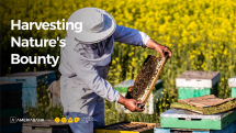 Ameriabank and COAF Pool Efforts to Develop Beekeeping in Lori Region