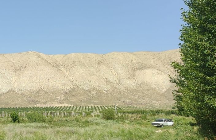 Գյուղում ունենք խմելու և ոռոգման ջրի լուրջ խնդիր, հիմա էլ ցեմենտի հանք են ուզում շահագործել․ Այգեզարդի բնակիչ