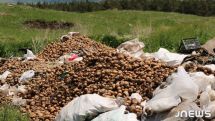 Первое место по производительности картофеля в Грузии в 2023 году занимает Самцхе-Джавахети