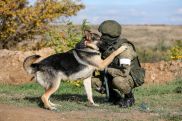 Вожатые караульных собак военной базы ЮВО в Армении провели со своими питомцами тренировку