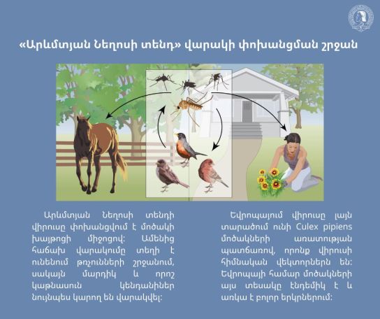 ԵՄ-ում հայտնել են Արևմտյան Նեղոսի տենդով վարակման 69 դեպքի մասին
