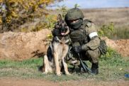 Вожатые служебных собак военной базы ЮВО в Армении готовят их к выполнению задач караульной службы