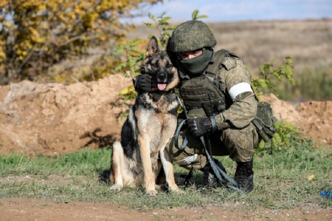 Вожатые служебных собак военной базы ЮВО в Армении готовят их к выполнению задач караульной службы