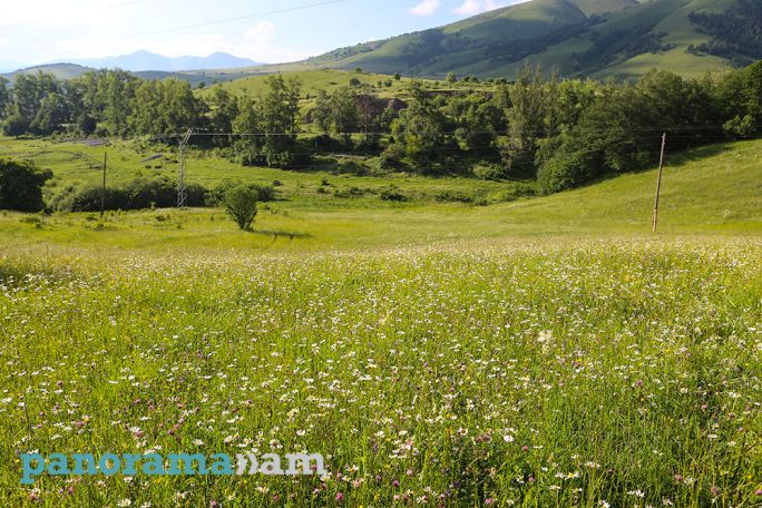 Погода в Армении на ближайшие дни