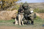 Кинологи военной базы ЮВО в Республике Армения продолжают подготовку к выполнению задач караульной службы