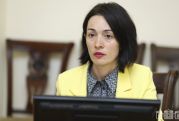 Ոլորտում կարողությունների զարգացման լուրջ խնդիր ունենք. Անդրեասյան