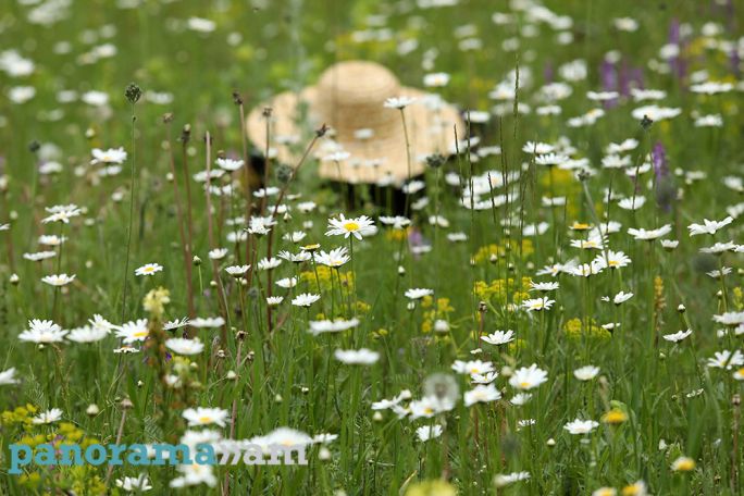 Temperatures to rise across Armenia