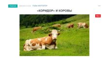 «Голос Армении»: Пашинян сказал – не пройдет корова!