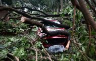 Vietnam typhoon death toll rises to 233