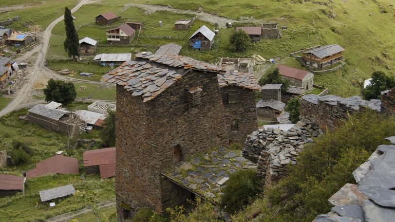 Վրաստանում հերթական մարդահամարն է սկսվել