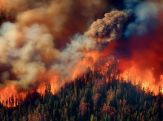 Лесной пожар в Аргентине подкрадывается к жилым домам